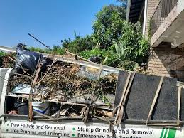 Best Residential Junk Removal  in Raven, VA