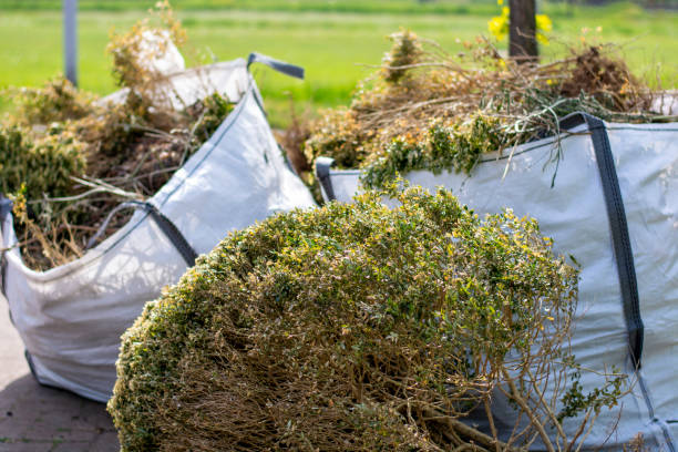 Best Electronics and E-Waste Disposal  in Raven, VA